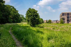 Het Bosgebied Koolhoven in het buitengebied van de wijk Koolhoven in Tilburg