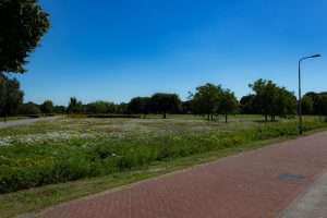 Het Reeshofpark in de Reeshof in Tilburg
