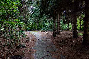 Het Von Weberpark in Tilburg