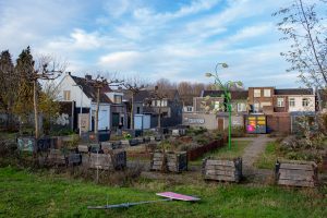 De buurttuin in de wijk Theresia in Tilburg