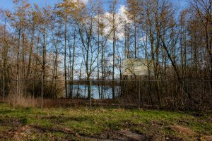 Het Wijckermeer (Vogelreservaat) in het Buitengebied Wijkevoort in TIlburg