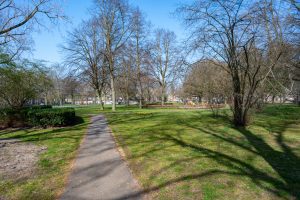 Het Stuivesantpark in Tilburg