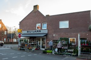 Bij laan bloemen en planten in de wijk Oerle in Tilburg