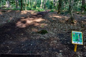 Disc Golf in Stadsbos013 in Tilburg