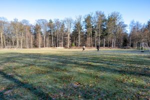 Voetbalveld Oude Warande in de Oude Warande in Tilburg