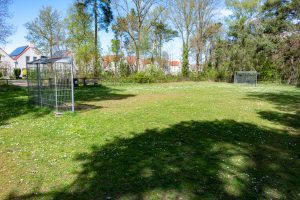 Voetbalveld Dwingeloostraat 