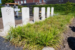 Canadese Oorlogsgraven op RK begraafplaats in Biezenmortel
