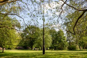 De gedenknaald voor Leonard Springer in het Leijpark