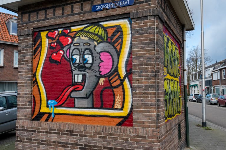 Streetart van Avid Mouse in Groeseindstraat in Tilburg